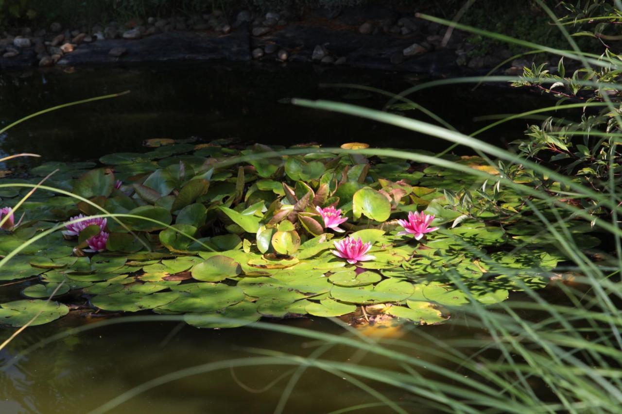 Nagymajor Birding Lodge Tiszacsege Екстер'єр фото